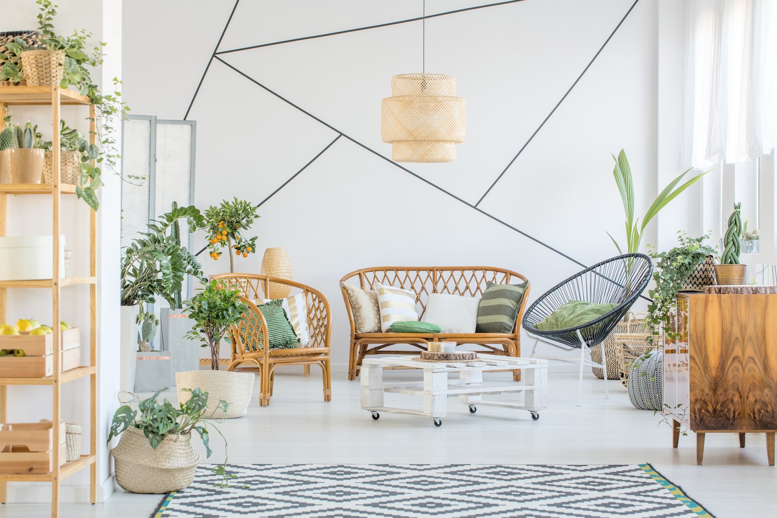 Renovated apartment