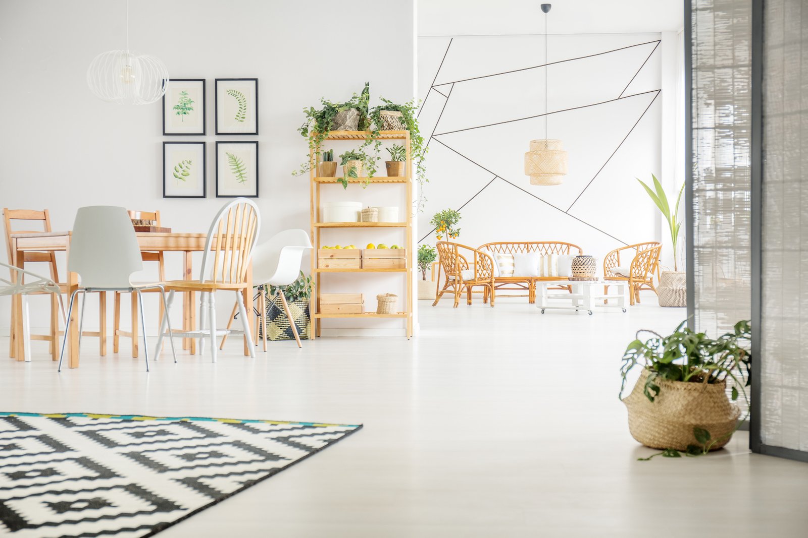 Renovated apartment