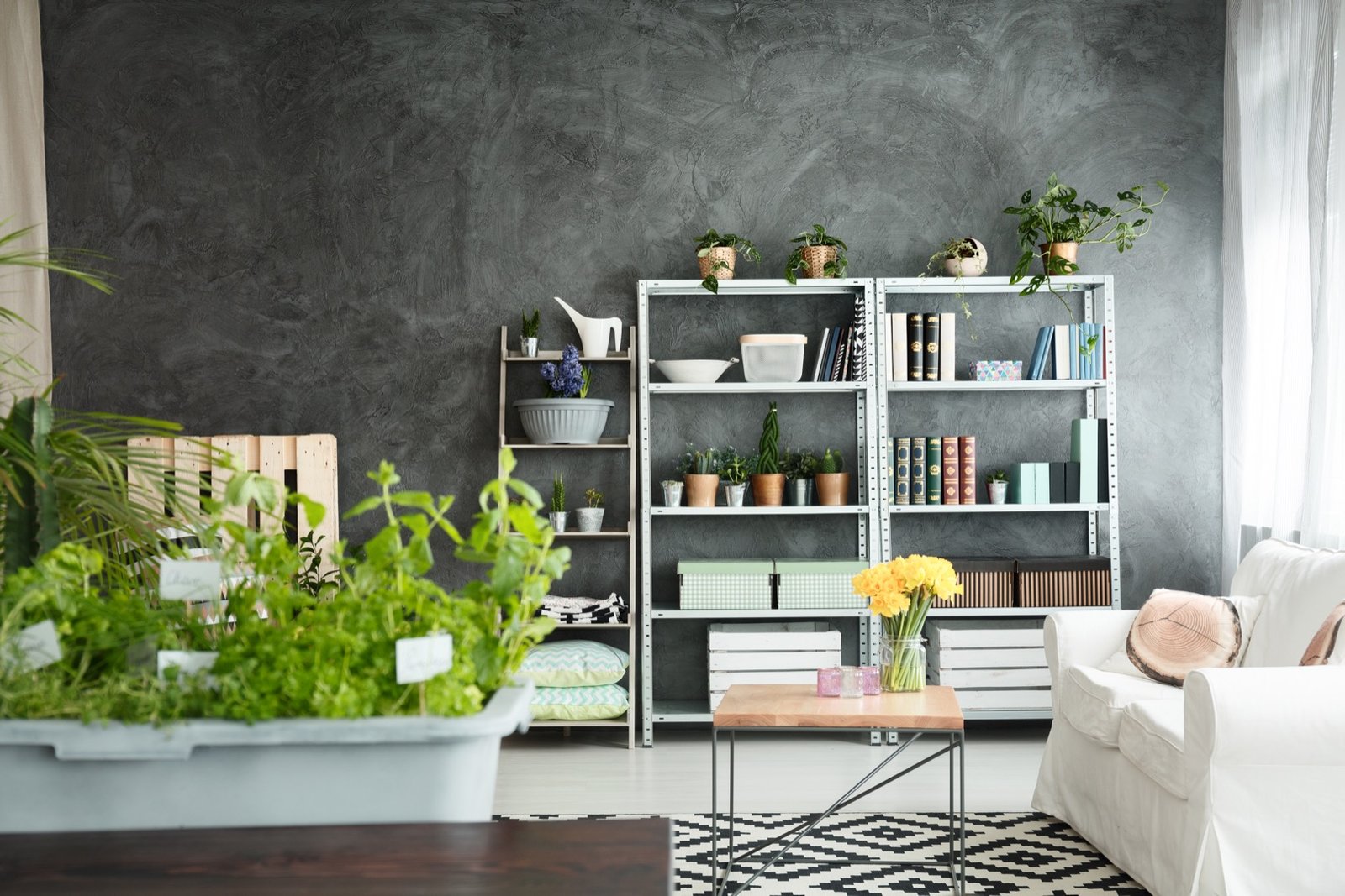 Renovated apartment
